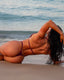 VINO BOTTOMS